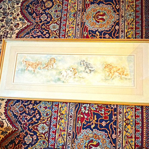 Framed cavalier king - framed,