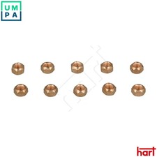 NUT EXHAUST MANIFOLD 054 406 FOR RENAULT PEUGEOT 106/II 306/Convertible 405 2.0L