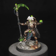 Professionally Painted