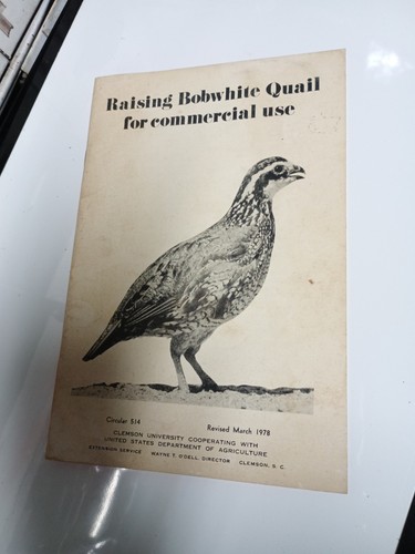 Raising bobwhite quail - raising,