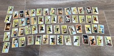 57x Mixed "Dogs" Cigarette Collectors Cards Gallagher Ltd Belfast 