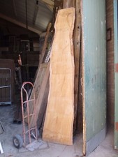 WANEY edge board 10 foot long Solid BEECH 24"+ wide x 1 1/4" thick