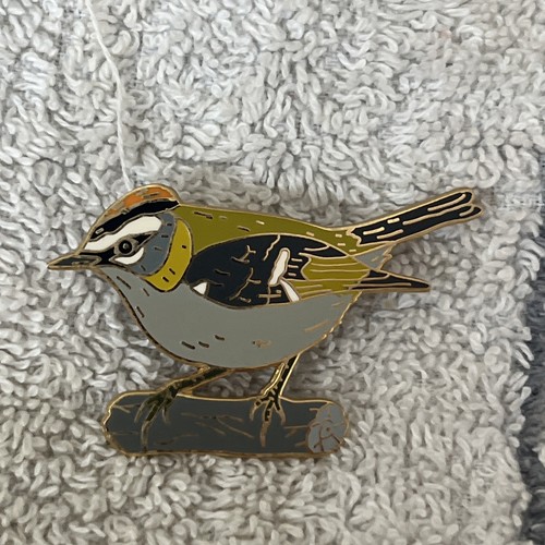 Lanius bird firecrest pin - firecrest,