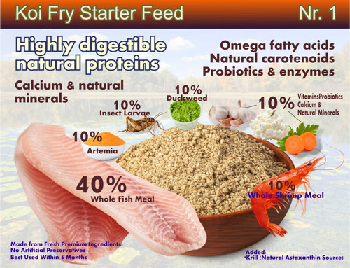 Baby fish fry - fish, food
