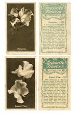 Favourite Flowers Cigarette