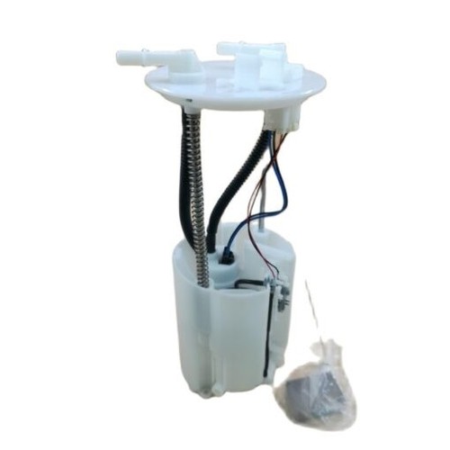Fuel pump assembly for - fuel,