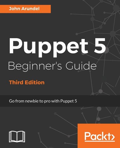 Puppet beginner guide - 5, beginner's