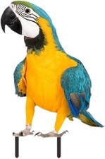 LOVIVER Parrot Ground Stake