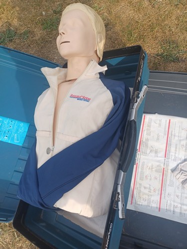 Resusci anne torso - torso, cpr
