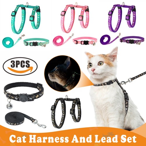 Glow the dark cat harness - in,