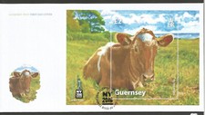GUERNSEY 2016 COW MINIATURE SHEET on UNADDRESSED FIRST DAY COVER