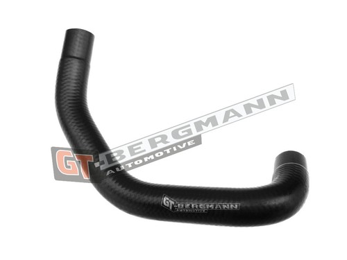 Fits bergmann gt52 202 - fits, gt-bergmann