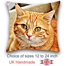 Ginger Cat Cushion Design, Cat Art Cushion, Ginger Cat Pillow