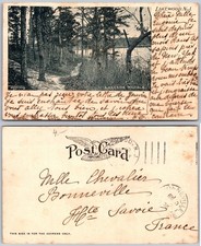 Lakewood NJ Lakeside Trail