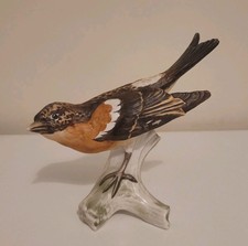 GOEBEL Bird BRAMBLING  CV 86 W Germany Porcelain Bird Figurine Matt Finish