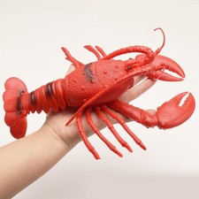 Lobster Squeaky Toy Early