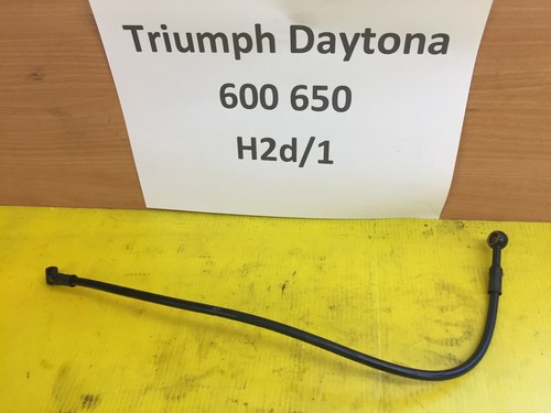 Triumph daytona 600 650 - triumph,