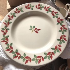 Emma Bridgewater “Folk Rosehip” 10.5” Plate - New.