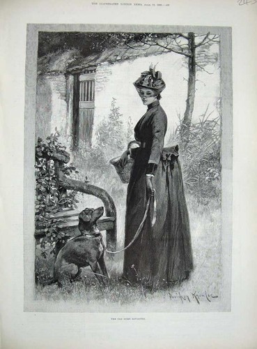 Old antique print 1890 - old,