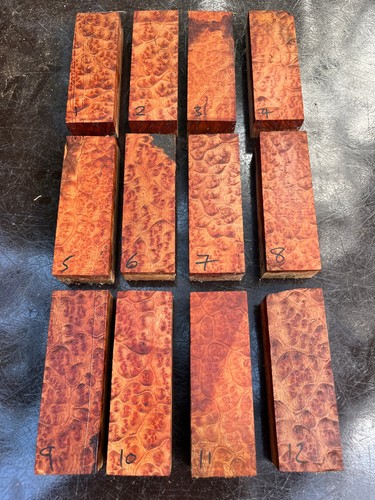 Camphor burl knife - camphor,