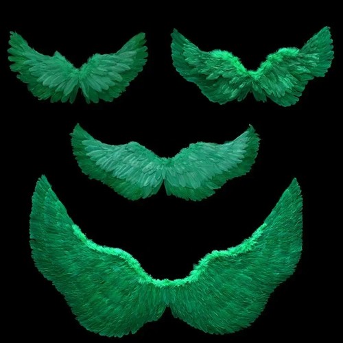Angel feather wings costume - wings,