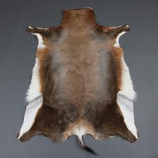 NEW Large Genuine Natural BLESBOK Brown Exotic Hide Rug