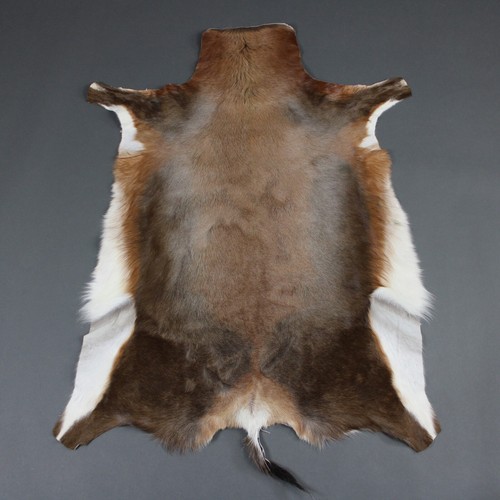 New large genuine natural - new,