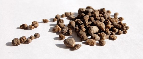 Gypsum calcium sulfate - gypsum,