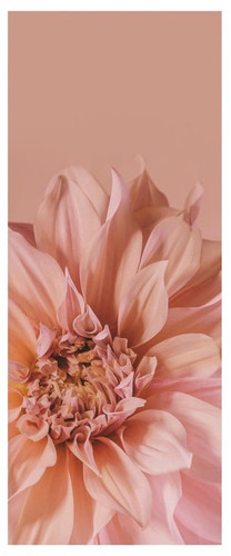 Ikea bjorksta flowers pink - in,
