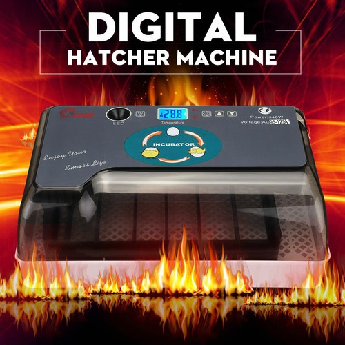 Digital egg incubator - digital,