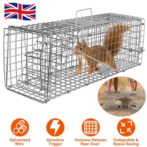 Squirrel rat cage large - rat,