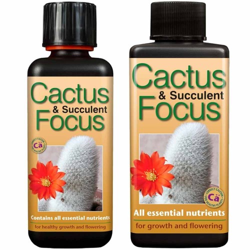 Growth technology cactus and - growth,