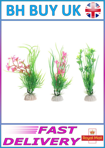 Pack nano aquarium - 3,