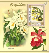 ORCHIDS / Orchid Wild Flowers