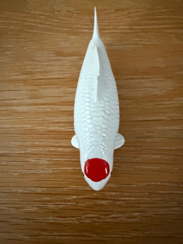 Koi carp tancho kohaku - koi,
