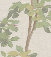 Lewis & Wood, Beech Linen