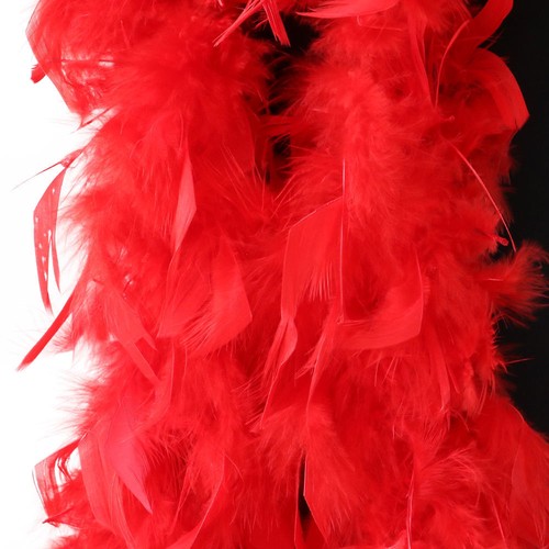 Feather boa party christmas - feather,