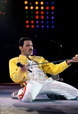 Freddie Mercury "Queen" 10 x 8