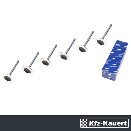 Trw intake valve fits - 6x,