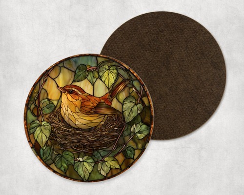 Wren birds nest spring - birds,