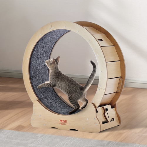Cat exercise wheel - cat, wheel,