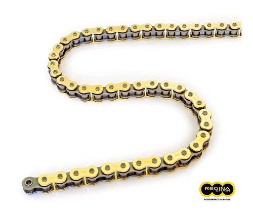 Regina 420 chain - 420,