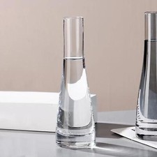 Bud Bottles Glass Bottle Flower Vase Modern Flower Holder Slim Glass Vases