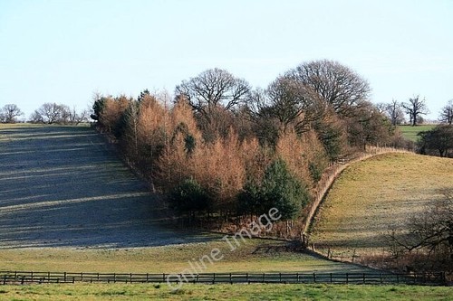 Photo 6x4 triangular - photo,