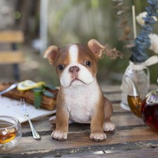 SoReal Brown Boston Terrier |