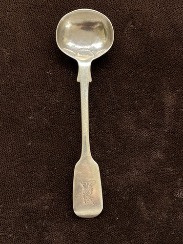 Exeter silver mustard - exeter,