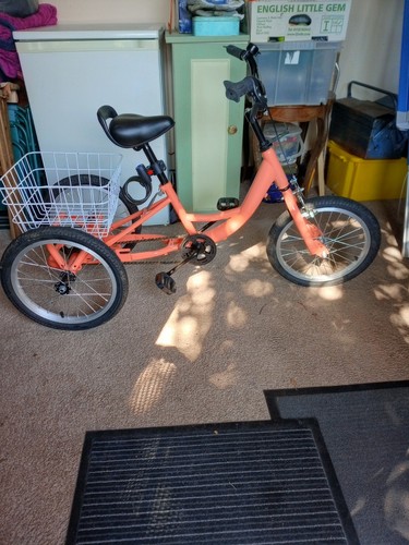 Children tricycle 16inch - children's,