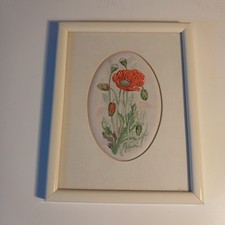 Cash's Woven Silk Miniature