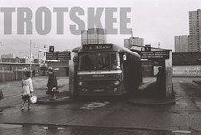 35mm Black and White Negative