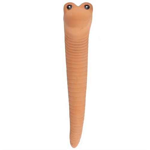 Large willy the worm - x,